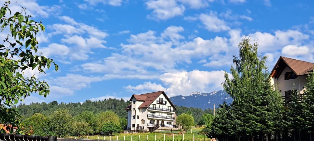 Appartamento Casa De Vacanta Bran  Esterno foto