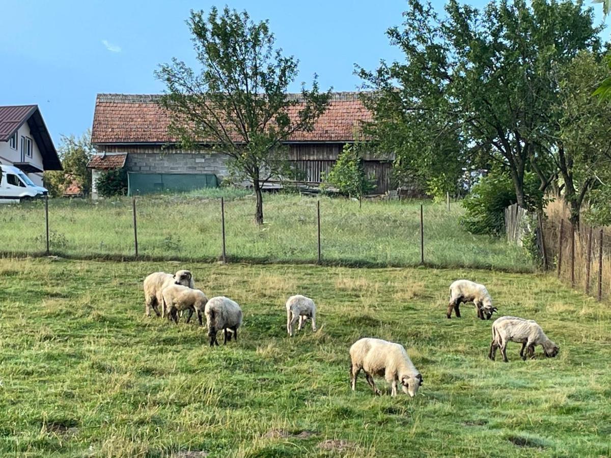 Appartamento Casa De Vacanta Bran  Esterno foto